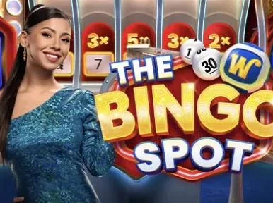 The Bingo Spot, Jeu télévisé